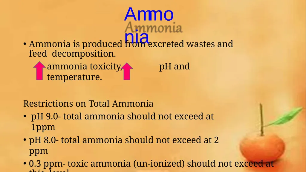 Grow-out culture of Penaeus monodon Mr. Bhartendu - slide 38 of 64
