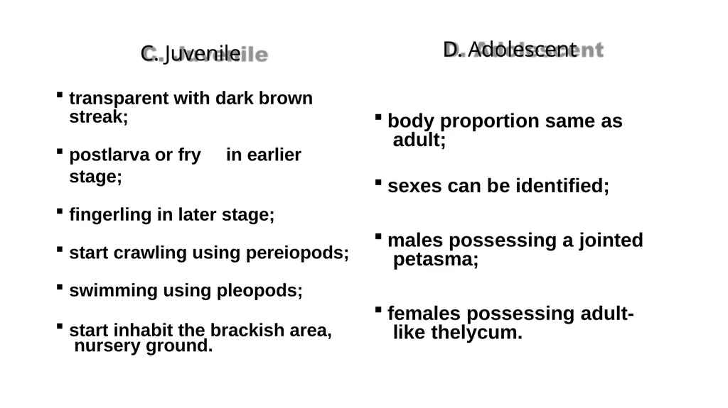 Grow-out culture of Penaeus monodon Mr. Bhartendu - slide 10 of 64