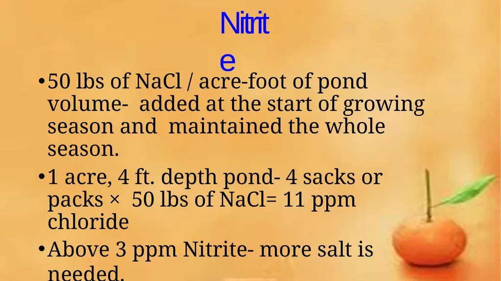 Grow-out culture of Penaeus monodon Mr. Bhartendu - slide 40 of 64