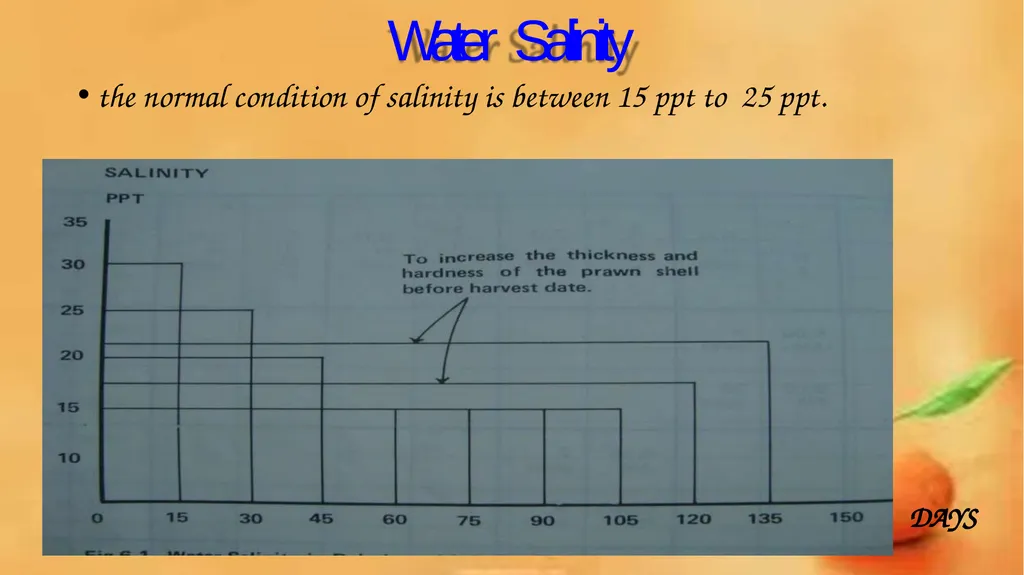 Grow-out culture of Penaeus monodon Mr. Bhartendu - slide 45 of 64