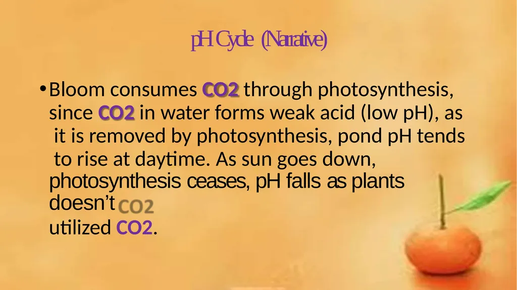 Grow-out culture of Penaeus monodon Mr. Bhartendu - slide 34 of 64