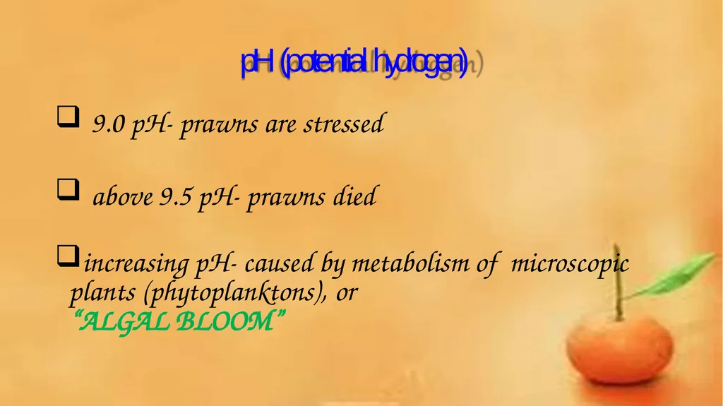 Grow-out culture of Penaeus monodon Mr. Bhartendu - slide 33 of 64