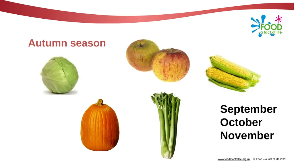 Eat the seasons What are seasonal foods? Seasonal - slide 6 of 9