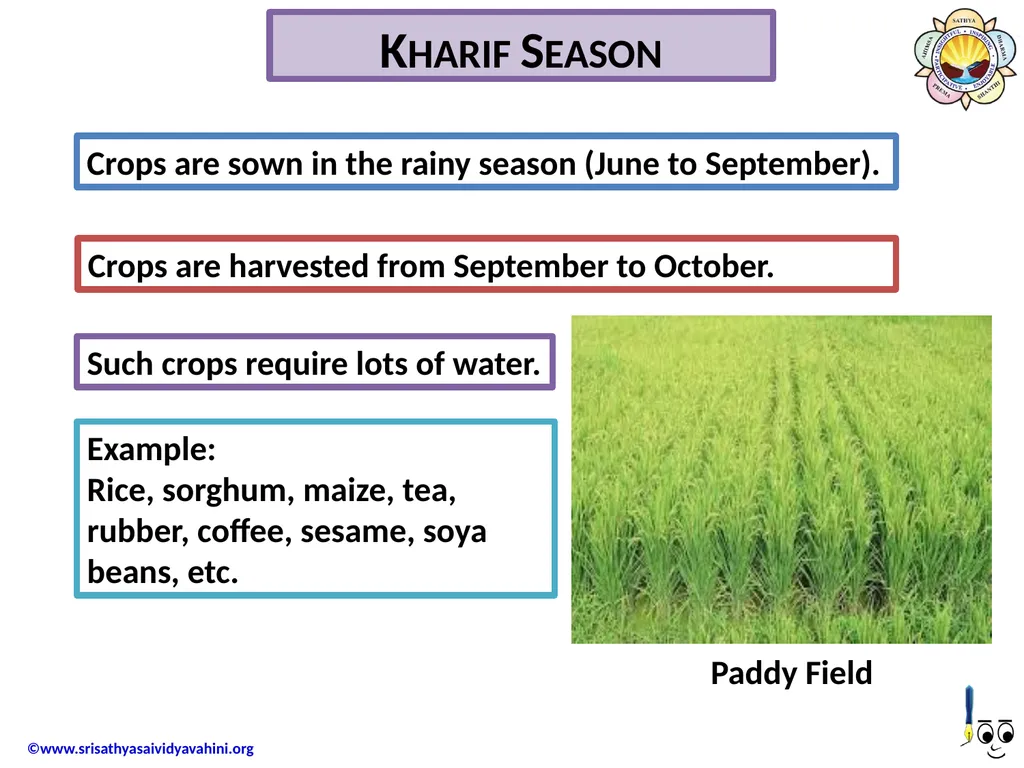 Cropping Seasons There are three chief seasons in - slide 3 of 6