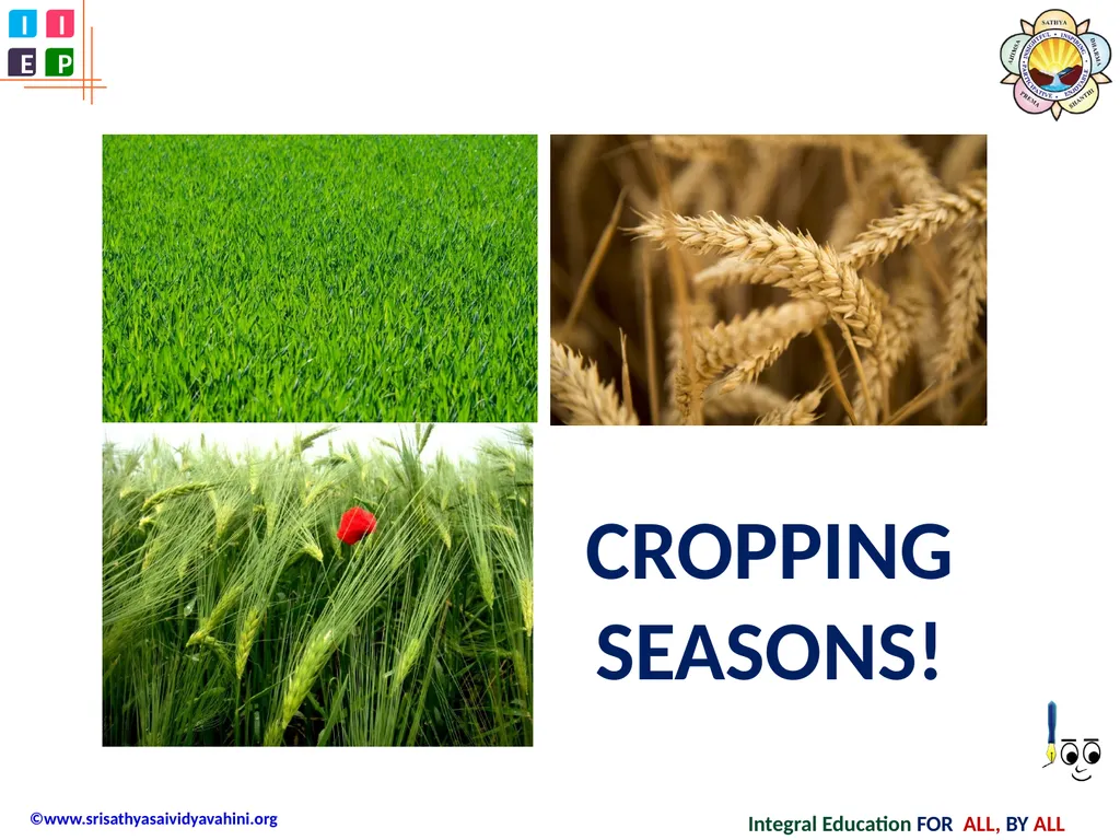 Cropping Seasons There are three chief seasons in - slide 1 of 6