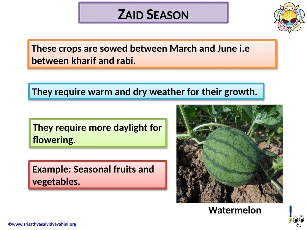 Cropping Seasons There are three chief seasons in - slide 5 of 6
