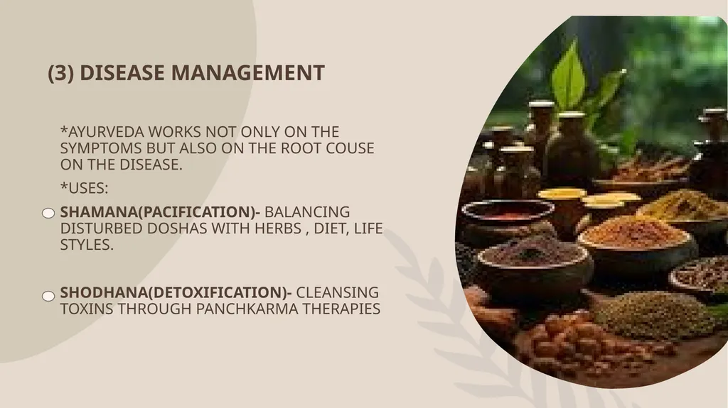 AYURVEDA FOR PEOPLE AND PLANET NANGELIL HOSPITAL - slide 12 of 20