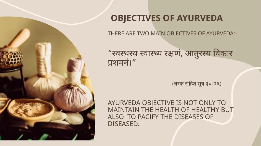 AYURVEDA FOR PEOPLE AND PLANET NANGELIL HOSPITAL - slide 4 of 20
