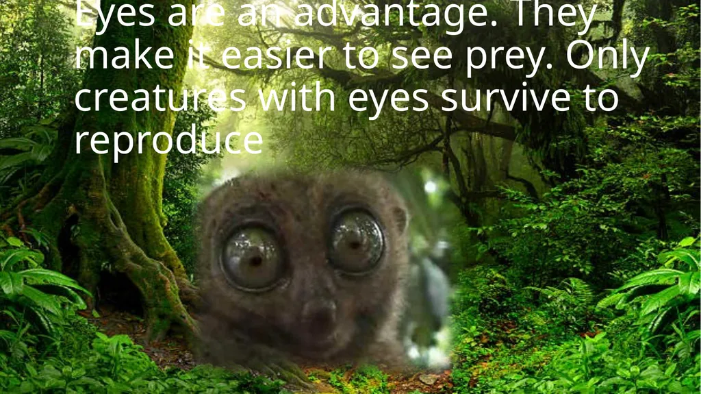 Teeth are an advantage. They make it easier to - slide 2 of 14