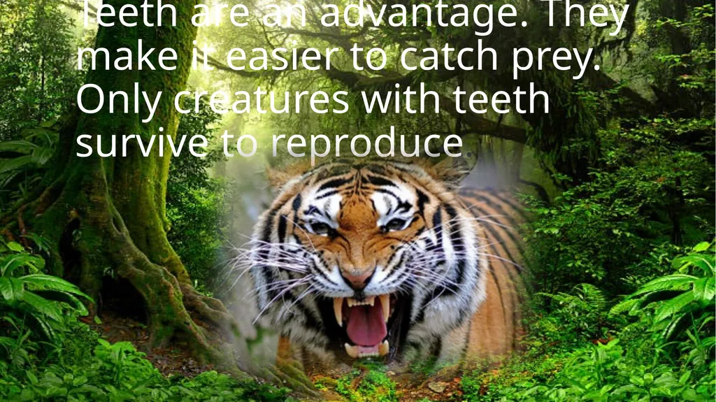 Teeth are an advantage. They make it easier to - slide 1 of 14