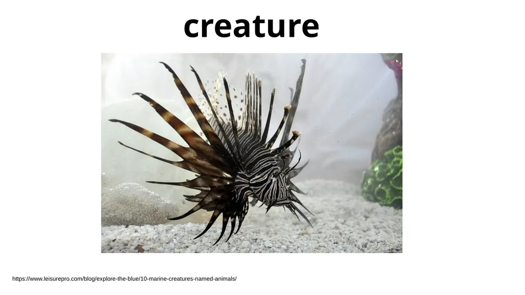 creature - slide 2 of 7