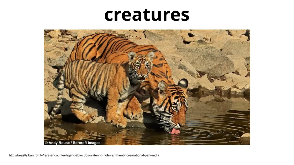 creature - slide 3 of 7