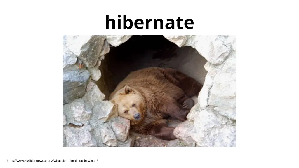 creature - slide 4 of 7