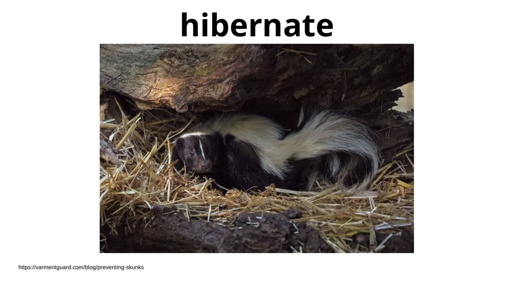 creature - slide 5 of 7