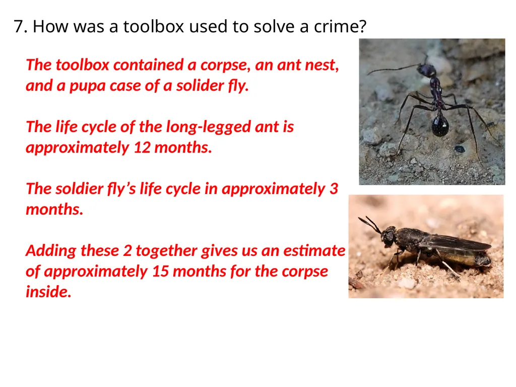 T. Tomm 2009 Updated 2024 https://sciencespot.net/ - slide 5 of 6