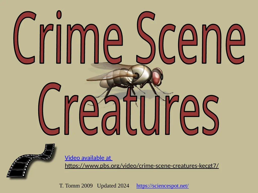 T. Tomm 2009 Updated 2024 https://sciencespot.net/ - slide 1 of 6