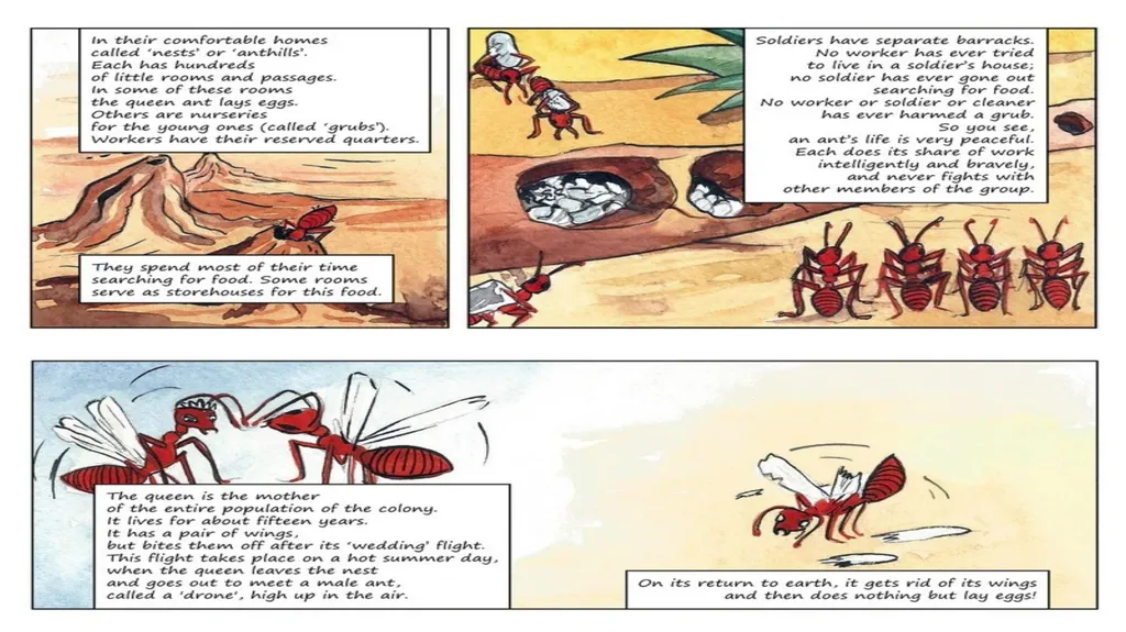Chapter -1 Tiny Teacher Supplementary Reader What - slide 5 of 16