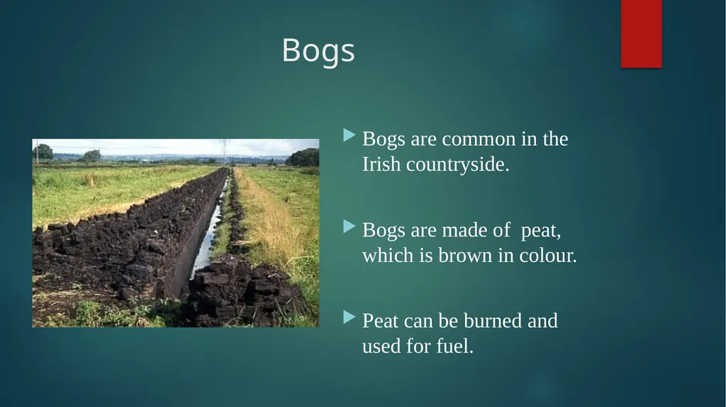Ireland’s Natural features Natural Environments - slide 11 of 12