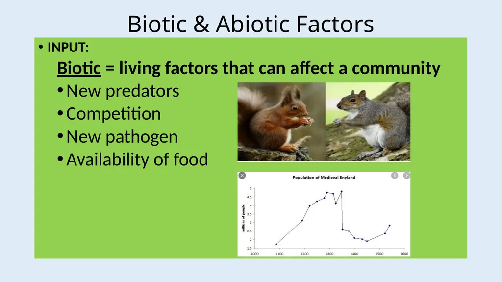 Communities LOW STAKES QUIZ You now need to do the - slide 13 of 22