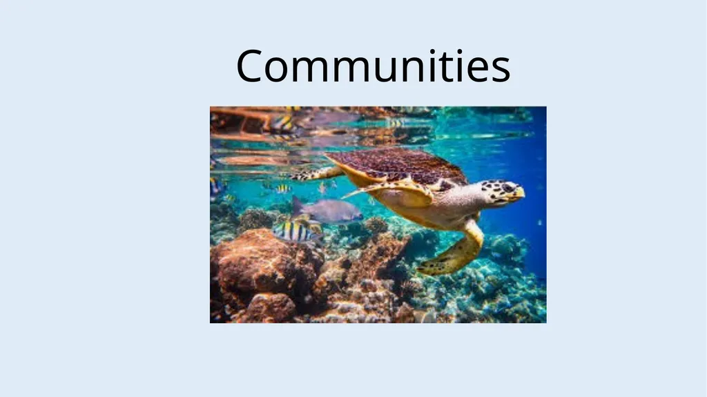 Communities LOW STAKES QUIZ You now need to do the - slide 1 of 22