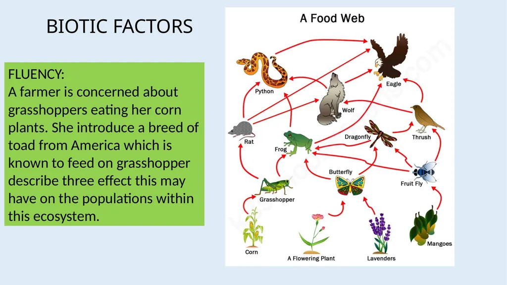 Communities LOW STAKES QUIZ You now need to do the - slide 16 of 22