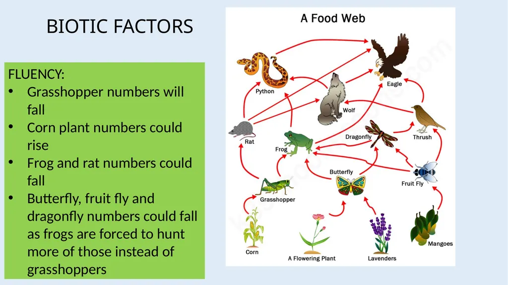 Communities LOW STAKES QUIZ You now need to do the - slide 17 of 22
