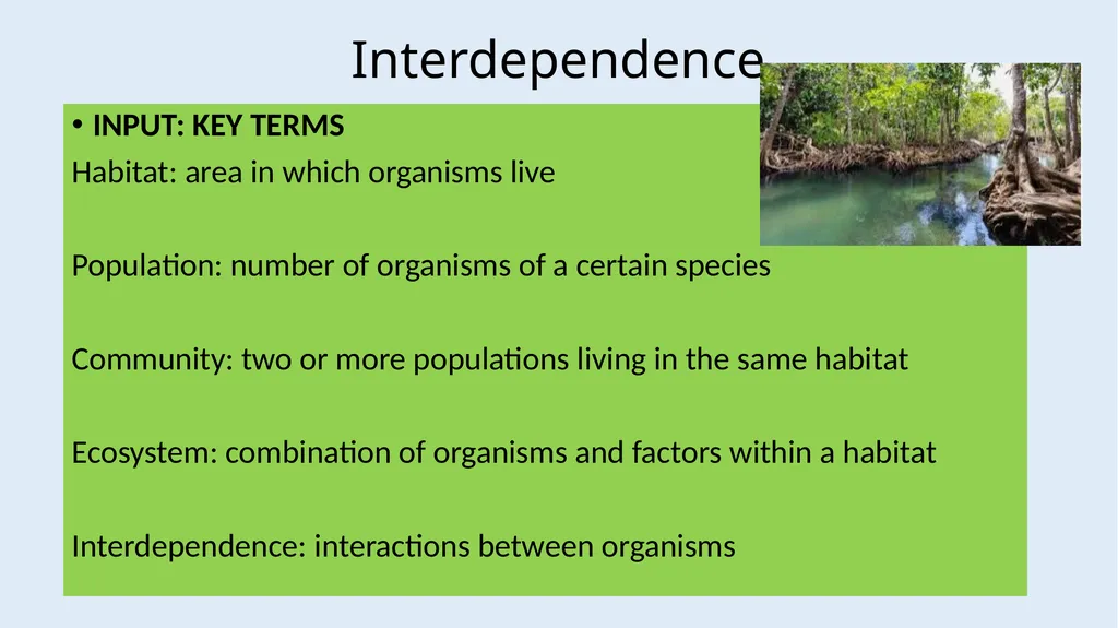 Communities LOW STAKES QUIZ You now need to do the - slide 4 of 22