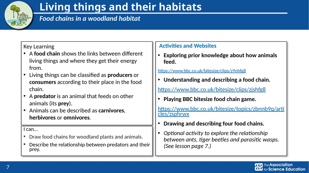 Year 4: Living things and their habitats Topic - slide 7 of 8