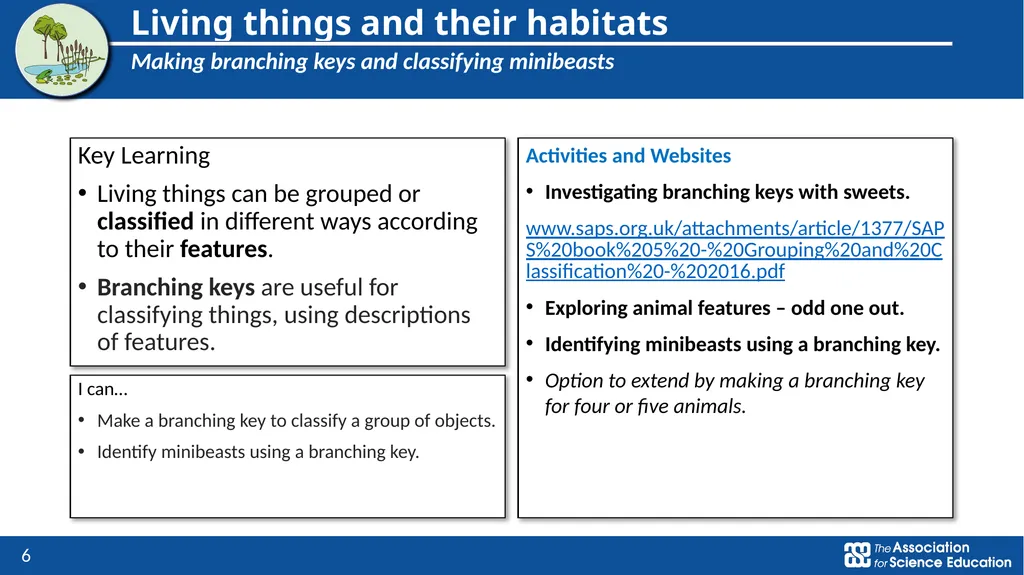 Year 4: Living things and their habitats Topic - slide 6 of 8