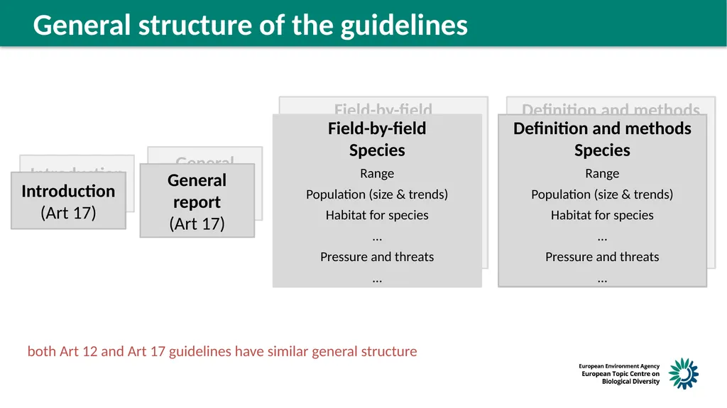 Structure of the guidelines Reminder on next steps - slide 3 of 6