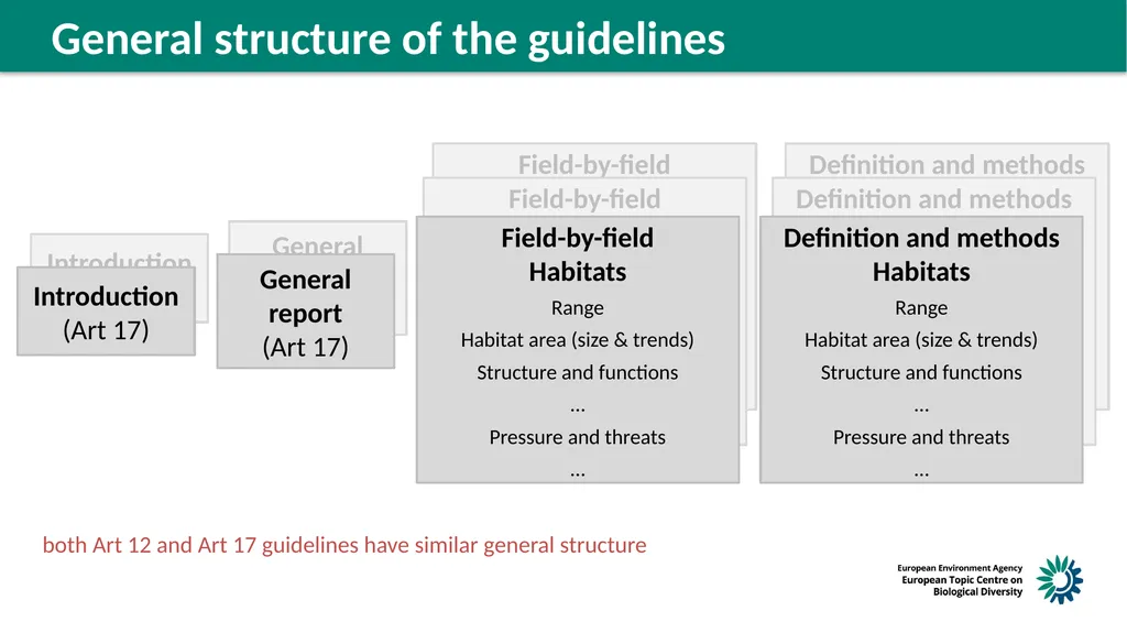 Structure of the guidelines Reminder on next steps - slide 4 of 6