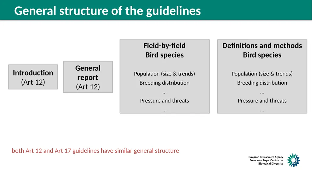 Structure of the guidelines Reminder on next steps - slide 2 of 6