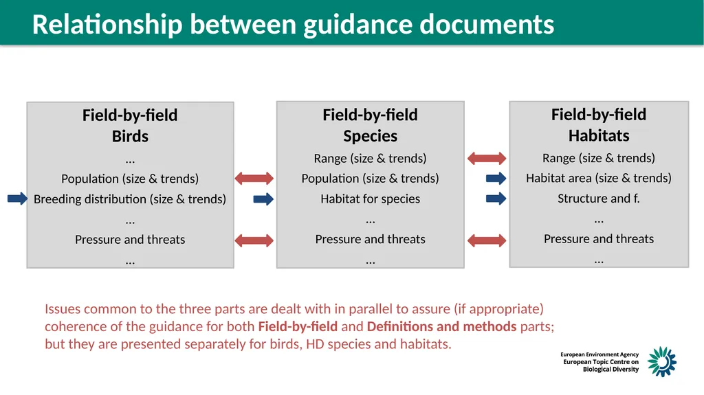 Structure of the guidelines Reminder on next steps - slide 6 of 6