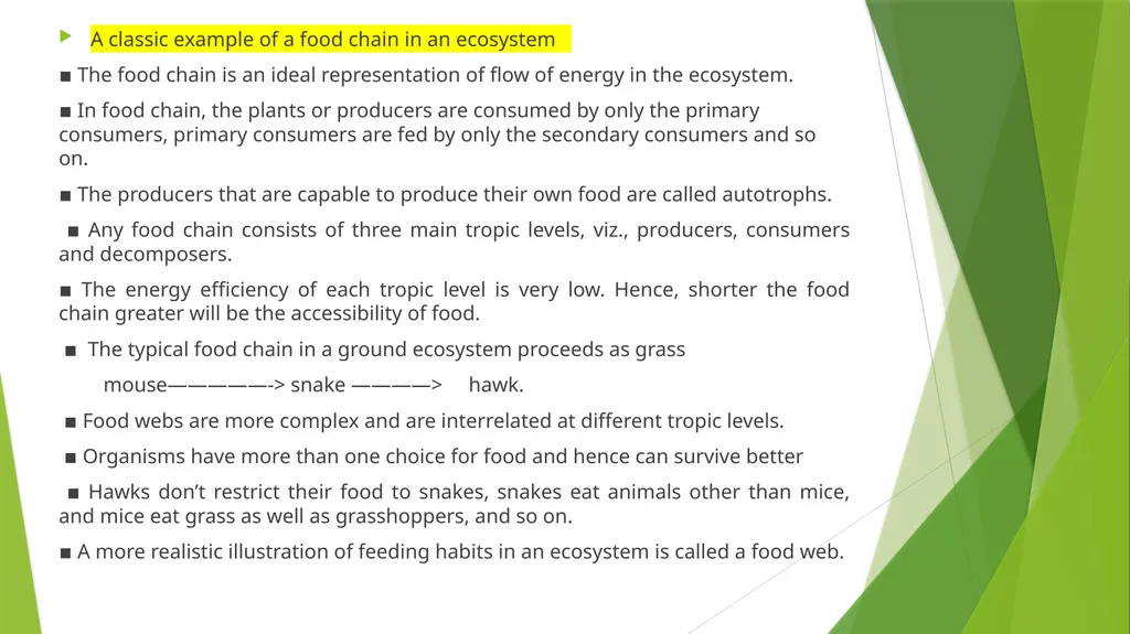 What is an Ecosystem? Structure and Function of - slide 9 of 14