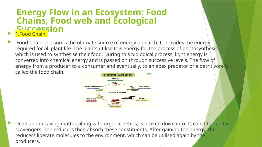 What is an Ecosystem? Structure and Function of - slide 8 of 14