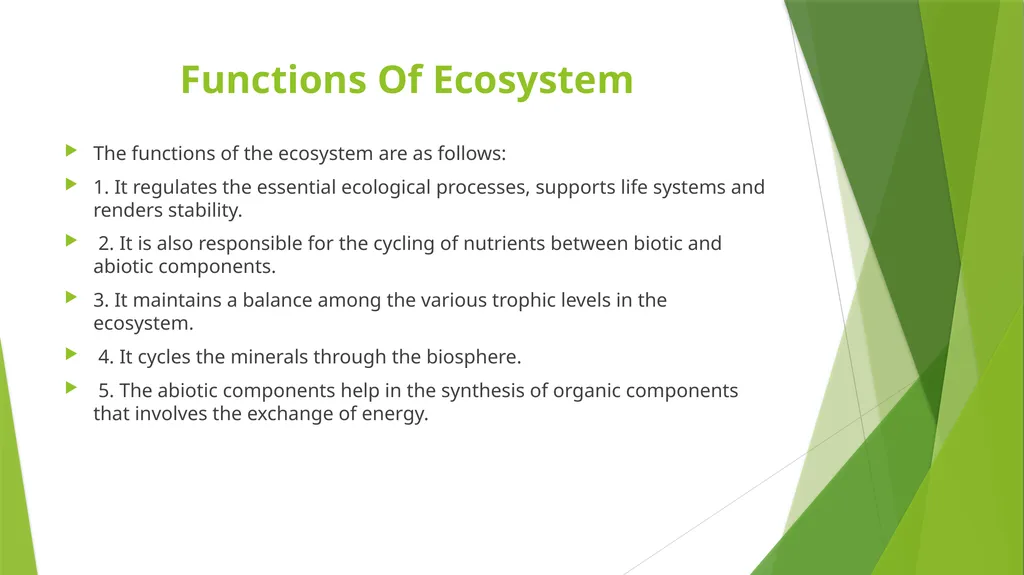 What is an Ecosystem? Structure and Function of - slide 7 of 14