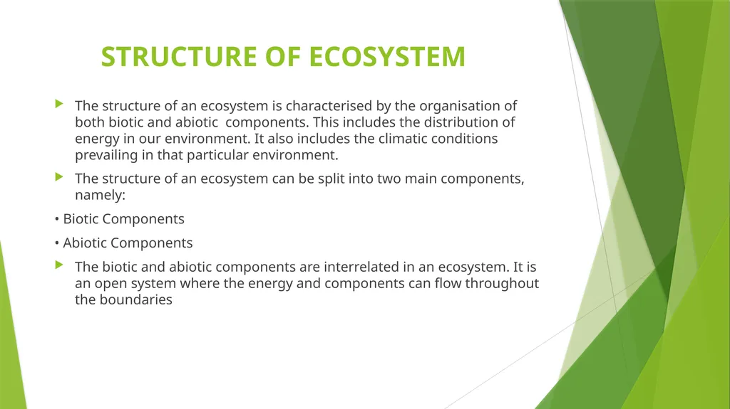 What is an Ecosystem? Structure and Function of - slide 3 of 14