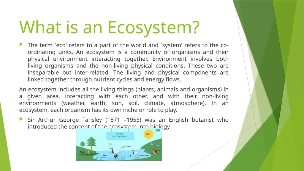 What is an Ecosystem? Structure and Function of - slide 2 of 14