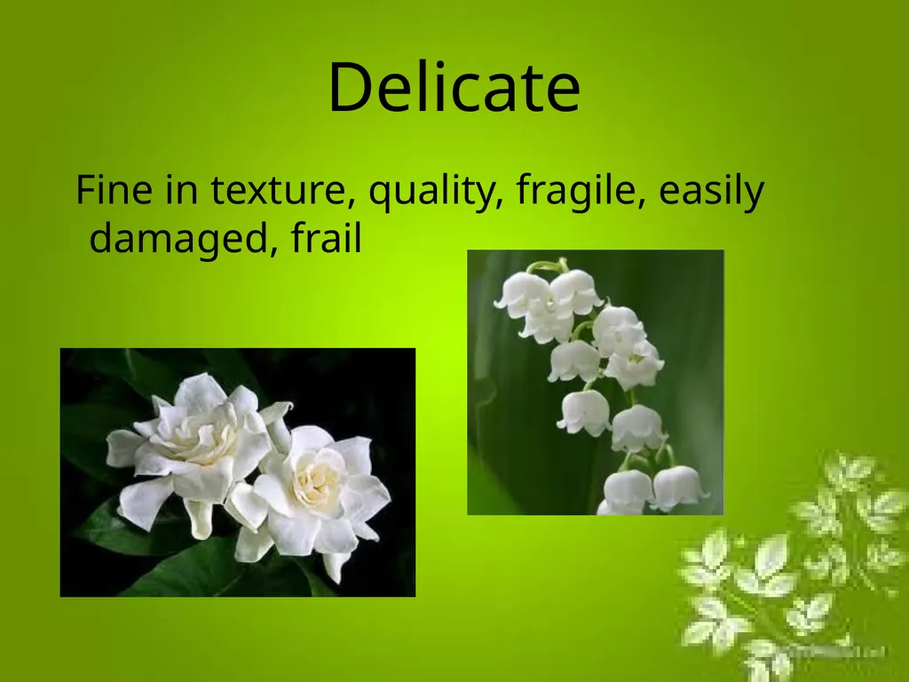 Elements of Design The directly observable - slide 19 of 29