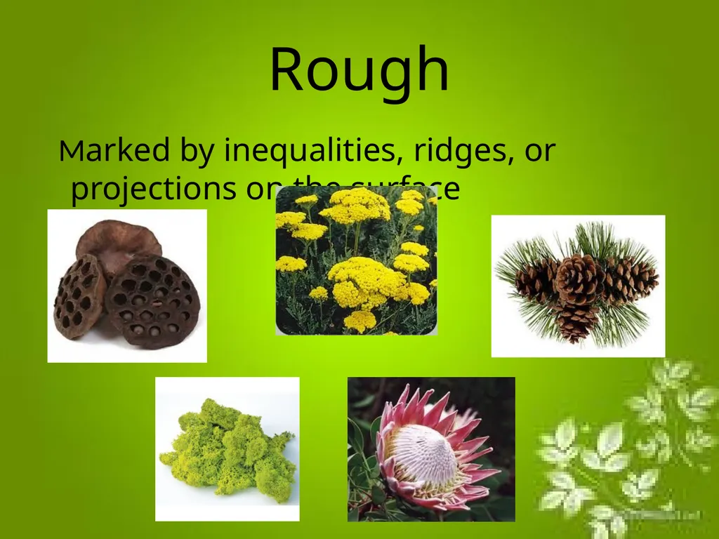 Elements of Design The directly observable - slide 18 of 29