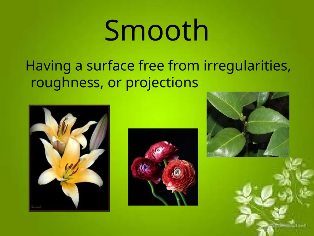 Elements of Design The directly observable - slide 15 of 29