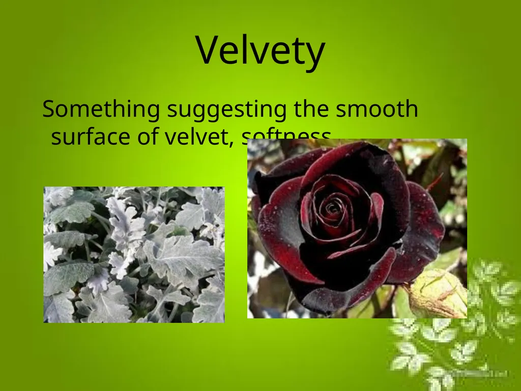 Elements of Design The directly observable - slide 20 of 29