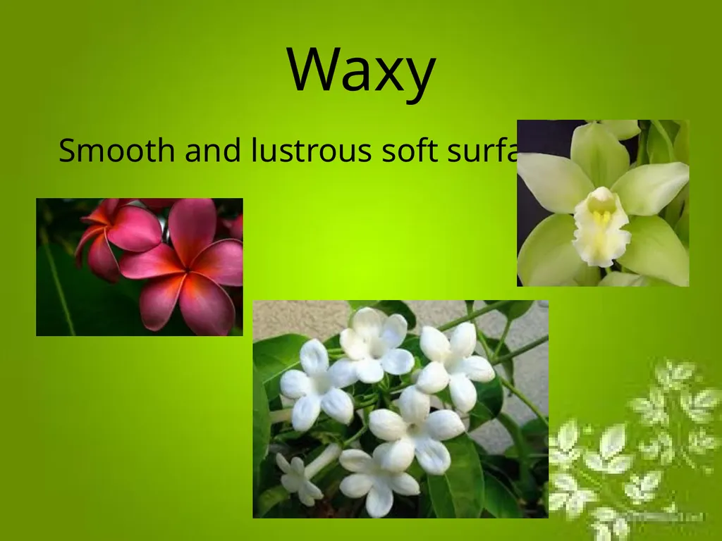 Elements of Design The directly observable - slide 17 of 29