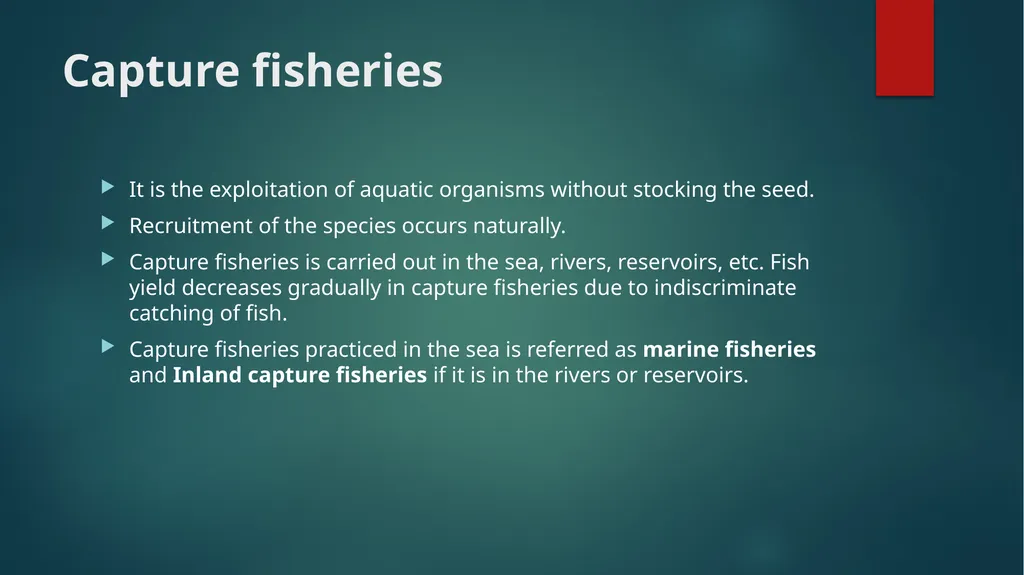 FISH HARVESTING, HANDLING AND TRANSPORTATION; - slide 4 of 16