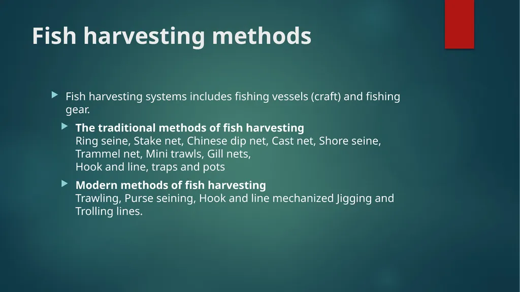 FISH HARVESTING, HANDLING AND TRANSPORTATION; - slide 8 of 16