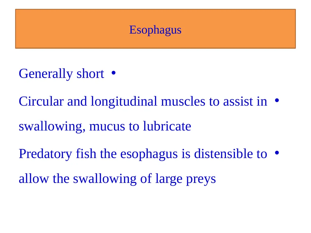 Fish nutrition in aquaculture Fish nutrition in - slide 8 of 19