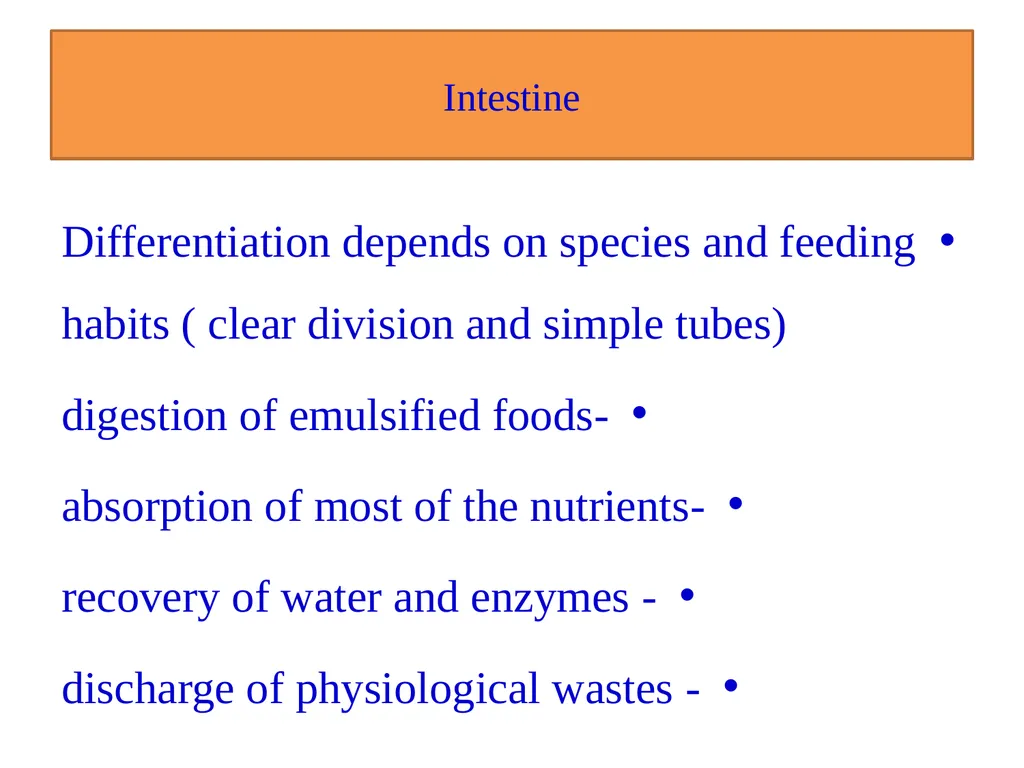 Fish nutrition in aquaculture Fish nutrition in - slide 10 of 19