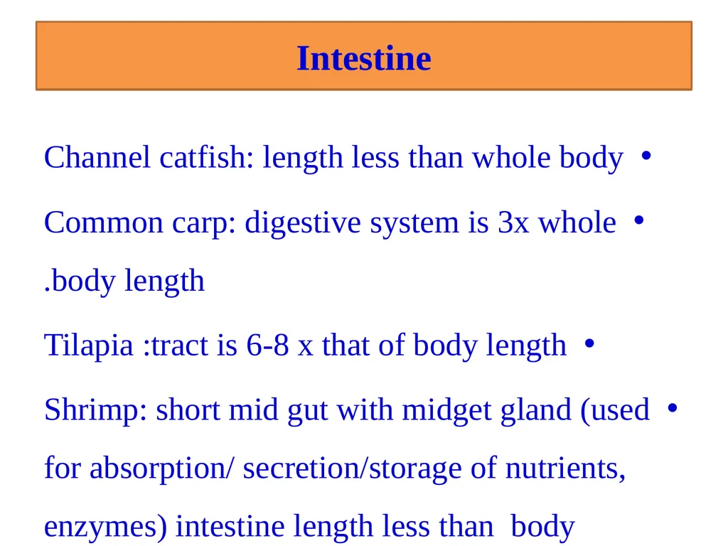 Fish nutrition in aquaculture Fish nutrition in - slide 11 of 19