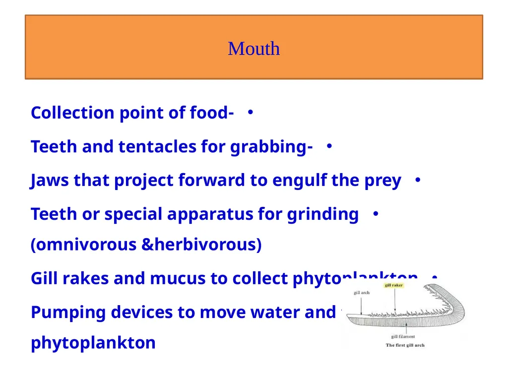 Fish nutrition in aquaculture Fish nutrition in - slide 6 of 19