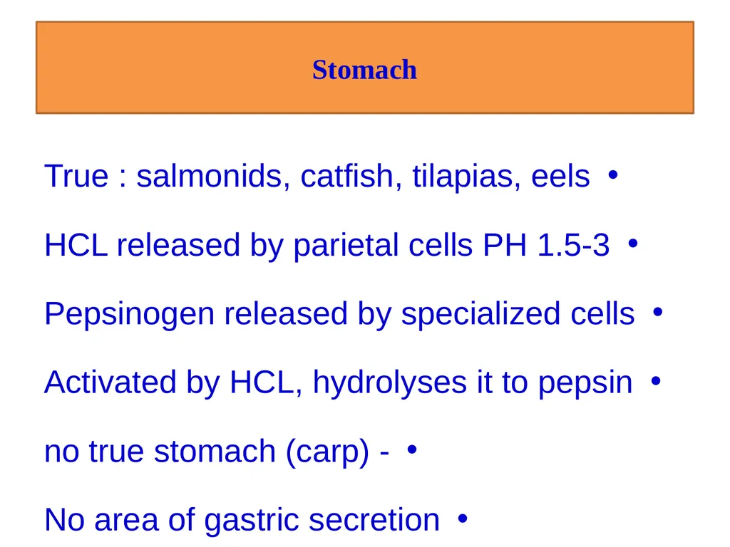 Fish nutrition in aquaculture Fish nutrition in - slide 9 of 19